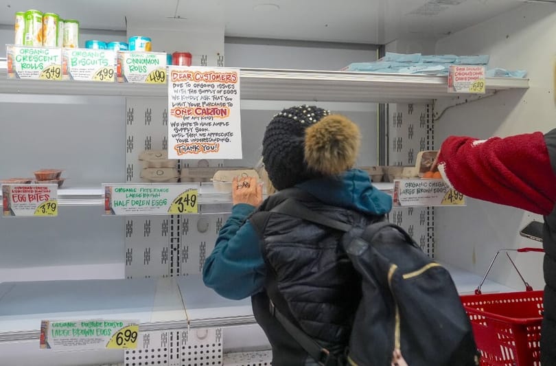Súlyosbodik az amerikai tojásválság, a boltok limitálják a kiadható mennyiséget, a pékségek és éttermek is bajban vannak