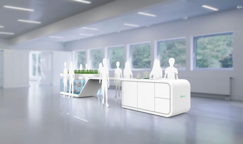 A 6 legjobb közé választott egy német-magyar egyetemistát az Electrolux