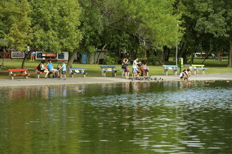 Megtámadták a Városligetben a Heti Napló stábját