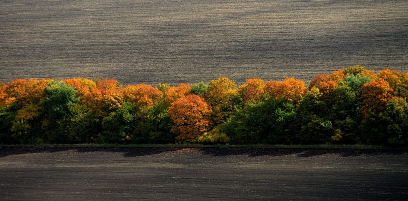Nem tágít a novemberi tavasz