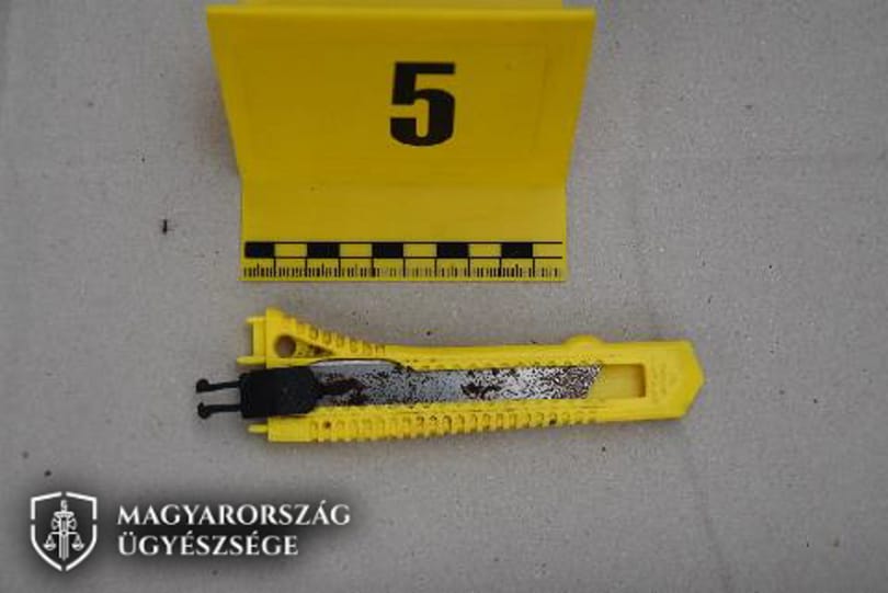 Baltával, lánccal, késsel és gázspray-vel fenyegette a rendőröket, kényszergyógykezelést kaphat