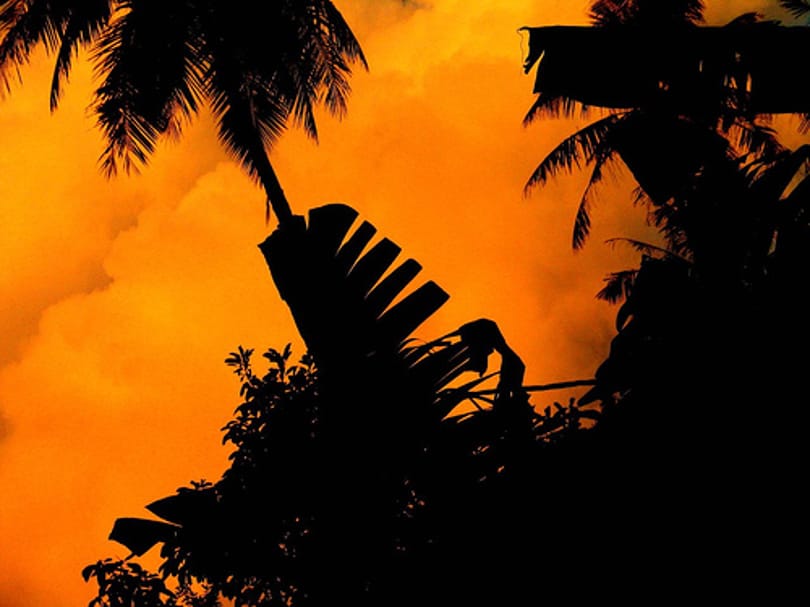 Tahiti képekben