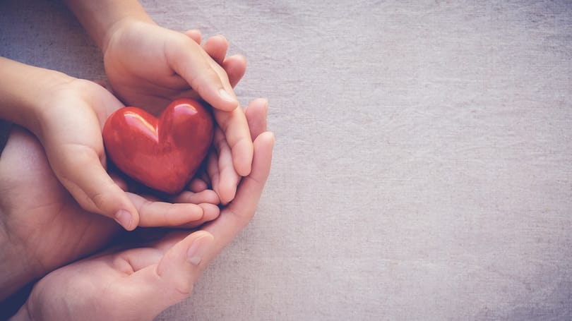 Valóban meg tud szakadni? – Tények, amiket kevesen tudnak a szívről