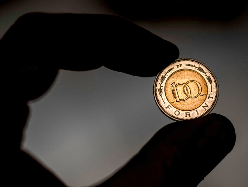 Egyéves csúcsára került a forint