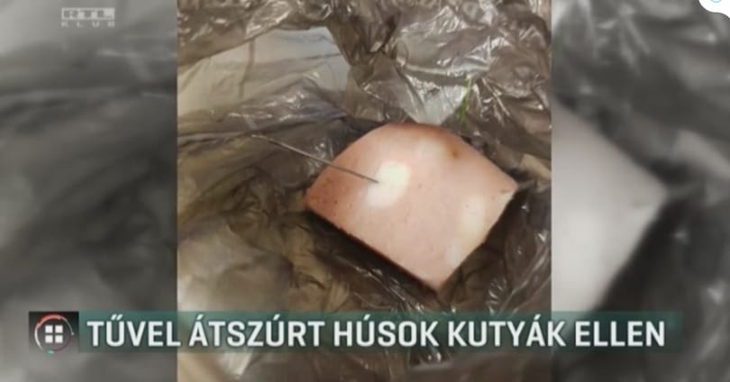 Tűkkel átszúrt húst szórtak ki a kutyáknak a Bikás parknál