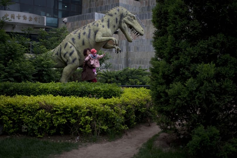 Falánk tinédzser lehetett a Tyrannosaurus rex