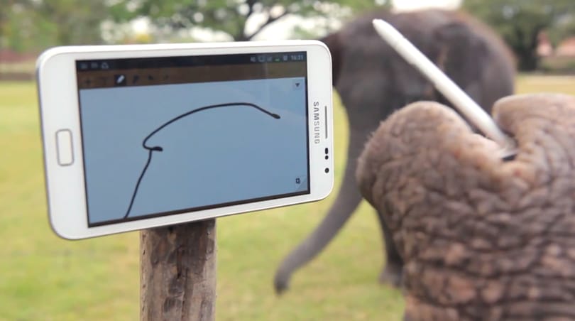 Az elefántok is eljátszanak a Samsung Galaxy Note-tal [videó]