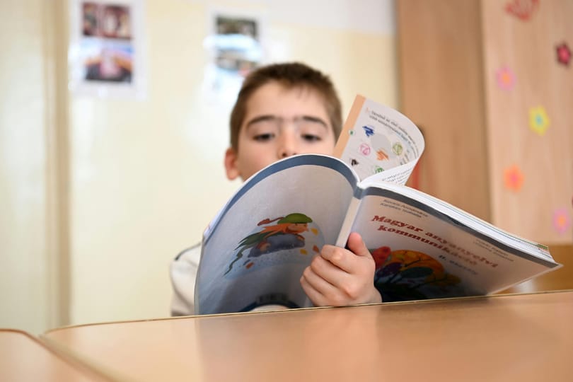 Nehéz a kompetenciamérésre fogni, ha egy gyerek a Toldi egy versszakából csak három szót ismer