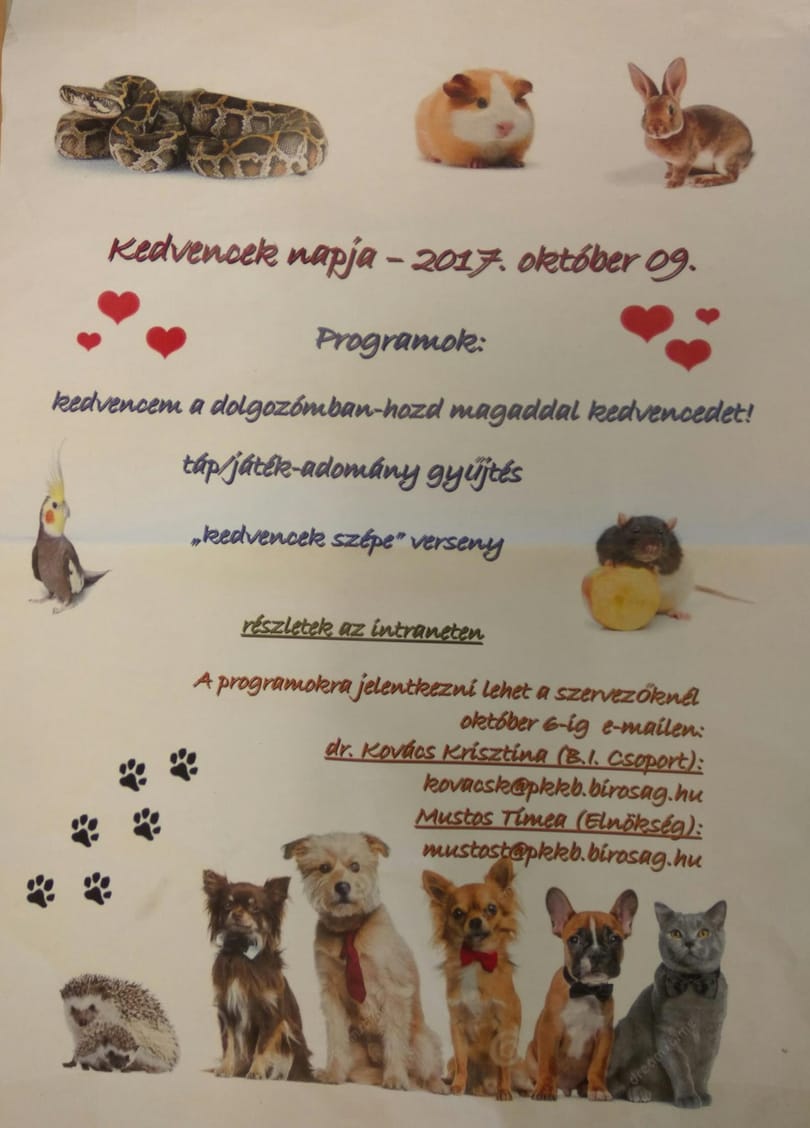 Cukiságbomba falusi dizájnnal a bíróságon