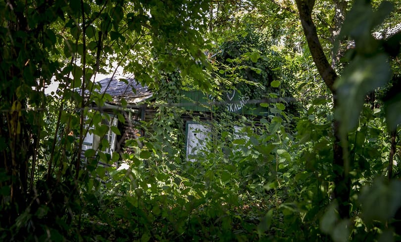 Varázslatos hely, de ingatlanjogi nonszensz az egykori zsidó üdülőtelep Csillebércen