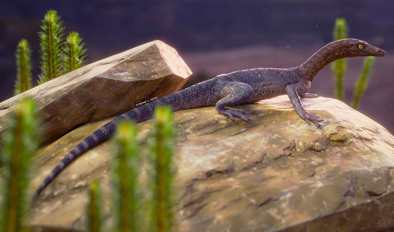 Rejtélyes hüllő rokonának maradványaira bukkanhattak, a Gyűrűk Urából adtak neki nevet