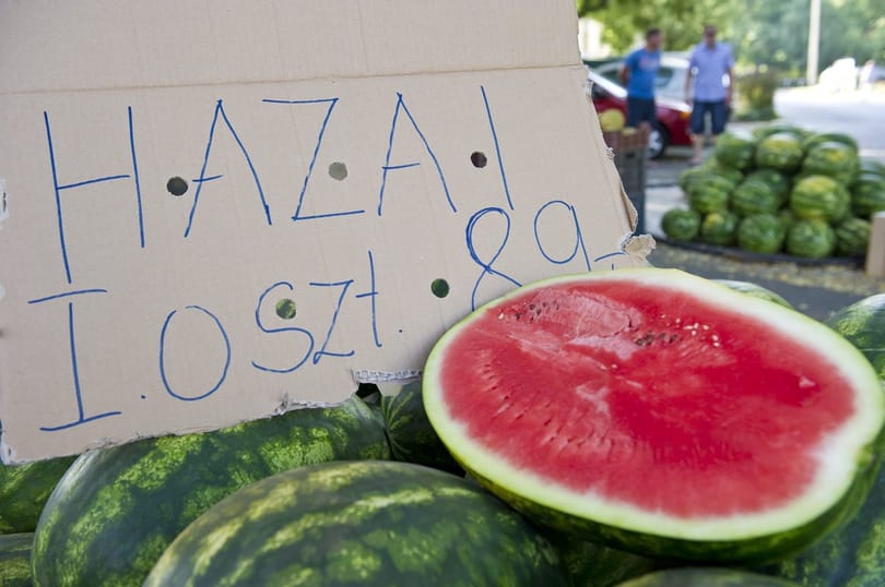 Dinnyeügy: megszólalt a CBA és az Aldi