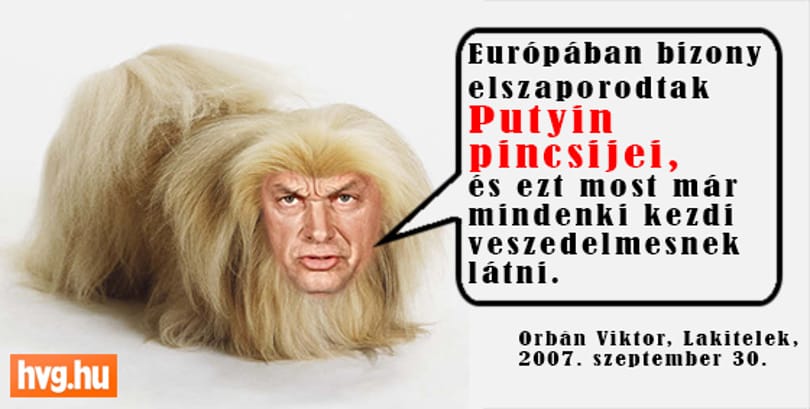 Ismerjék meg a legügyesebb Putyin-szopót!