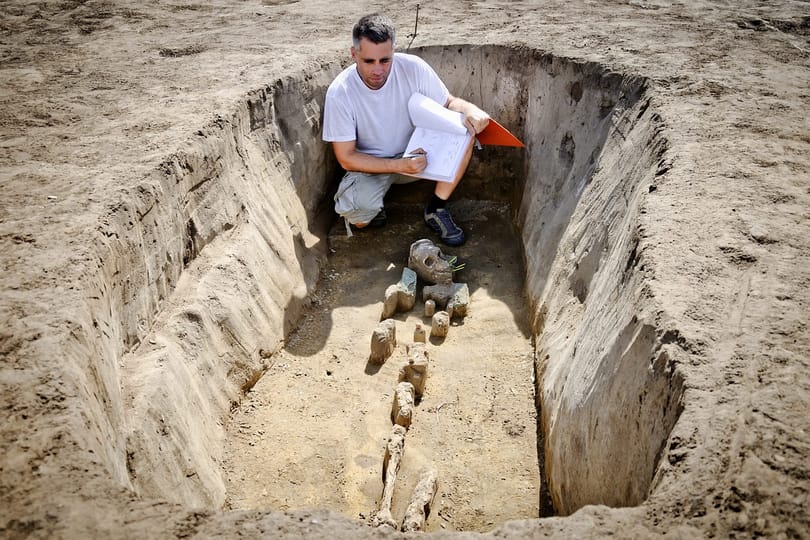 Borostyánkőbe zárt gyíkok 99 millió éves kövületét azonosították amerikai tudósok