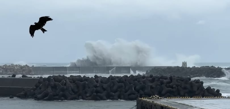 Újabb tájfun csapott le Japánra, lakások tízezrei maradtak áram nélkül