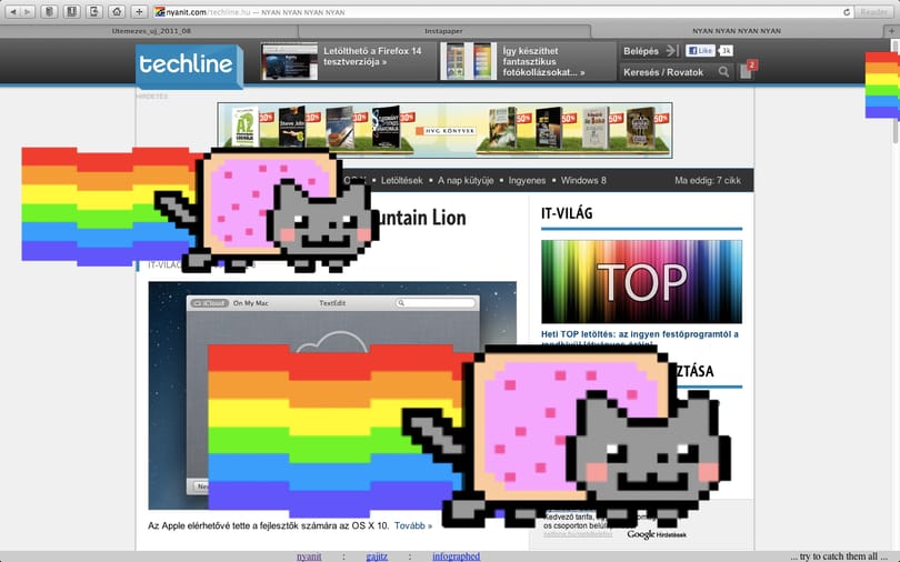 Döbbenet: Nyan Cat támadás a világ bármelyik weboldala ellen!