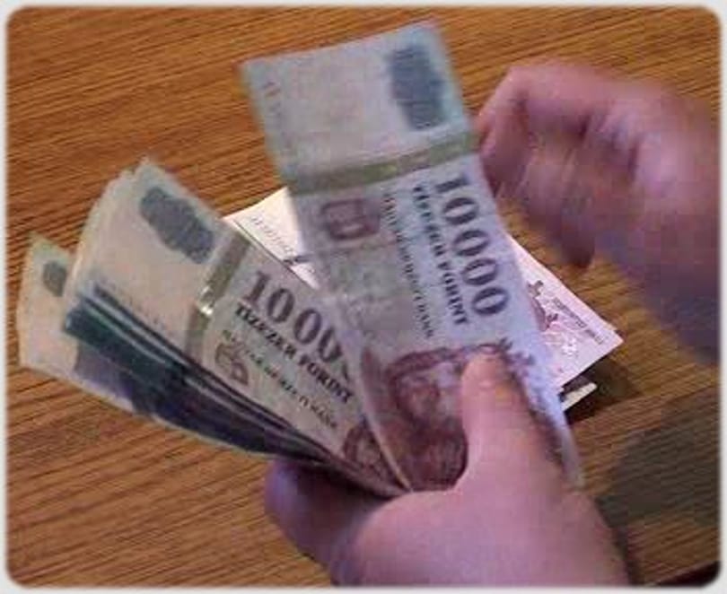 Csányi: Hiba lenne erőltetni az átváltást!