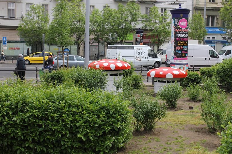 Fotók: Újabb városszépítő akciót hajtott végre a Kétfarkú Kutya Párt