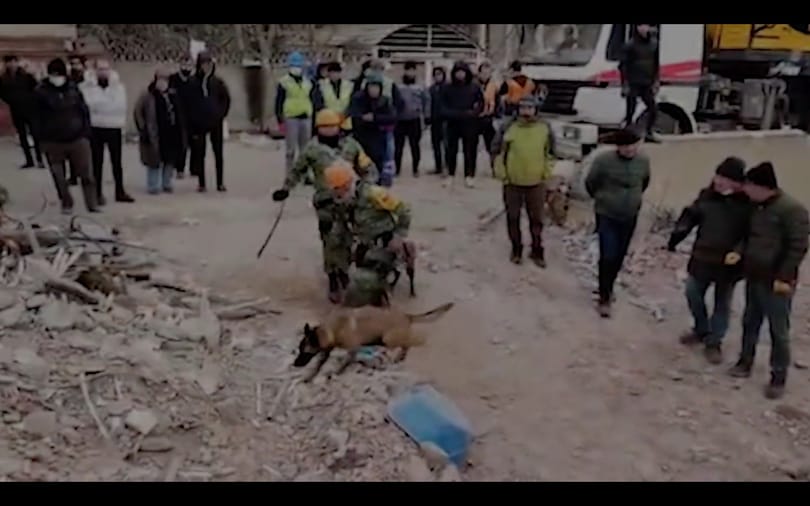 Mexikóban hősként emlékeznek a Törökországban elpusztult mentőkutyára