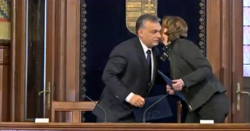 Milyen esélyekkel indul a Pallas Athéné Egyetem rektori posztjáért a PADMA alapítvány kuratóriumi tagja?