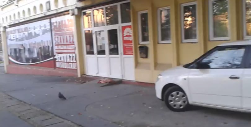 18+-os videót tettek közzé az MSZP-iroda előtt hagyott kutyatetemről