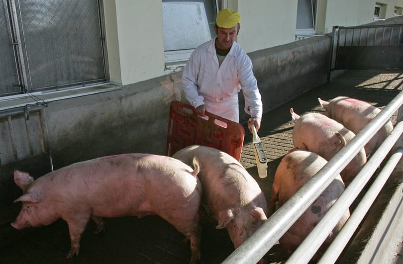 Kizárják a spekulánsokat a földbérletből