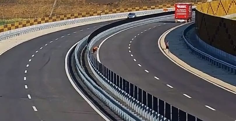 Videó: az M4-es autópályán rohant át két fiatal, hogy strandra menjen