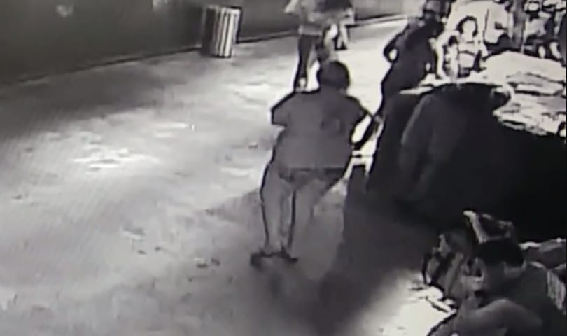 Gyereknek álcázták a cápát, hogy kilopják egy texasi akváriumból
