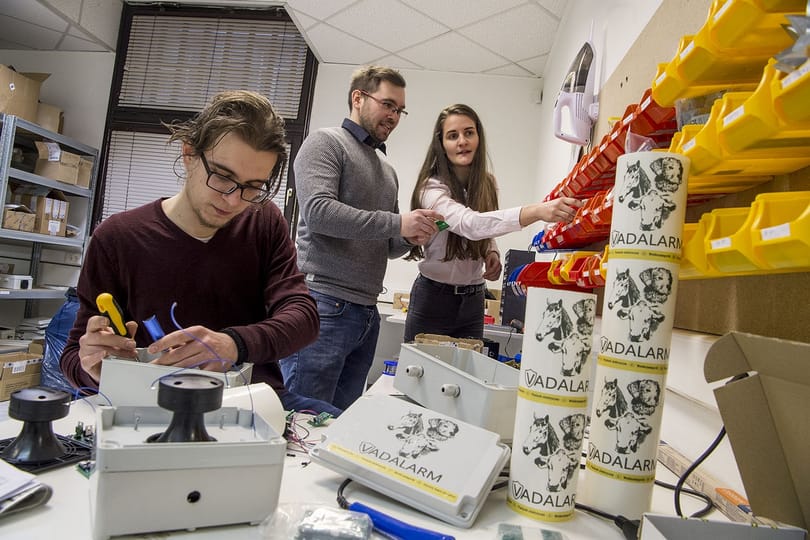Újlipótvárosból riogatják a gazdák termését megdézsmáló vadakat