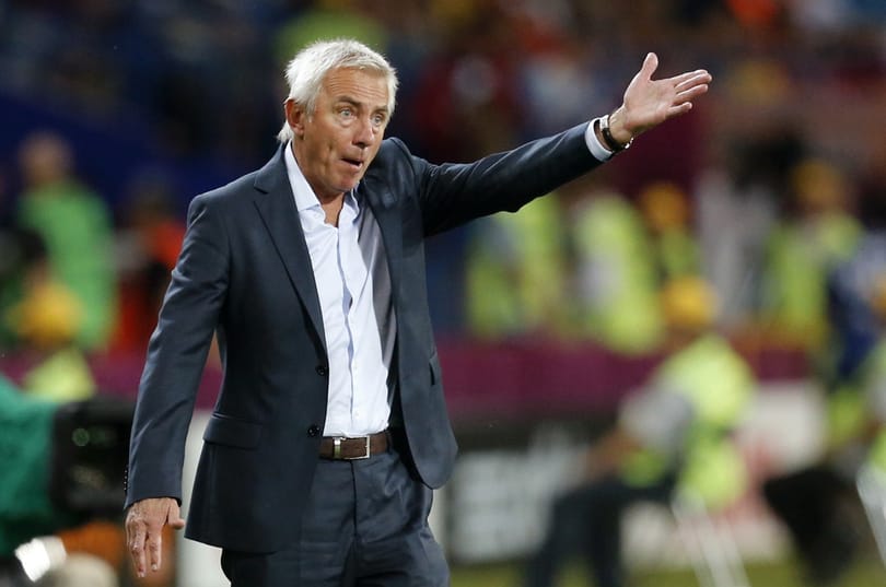 A felelősöket keresik, csak van Marwijk állása biztos