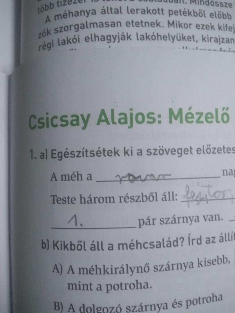 Méhanya vs. méhkirálynő – újabb dicső példa az állami tankönyvkiadásból