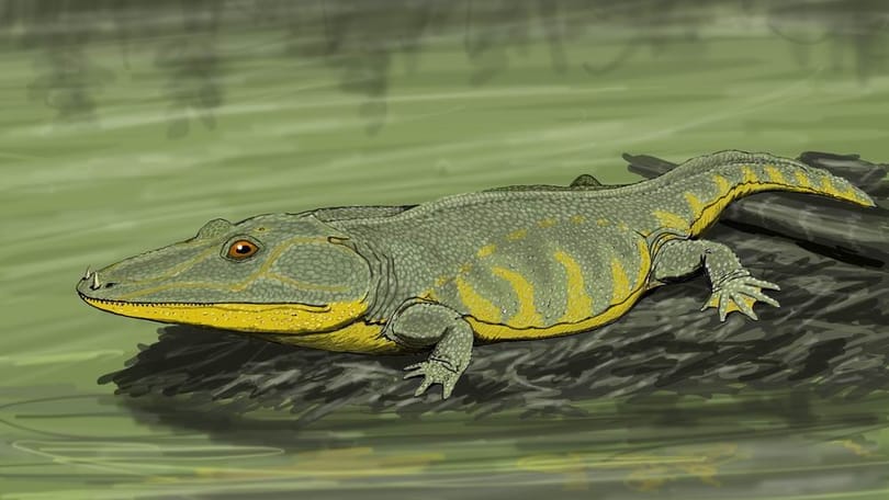7 méteres, 230 millió éves dinoszaurusz állkapcsát találták meg Németországban