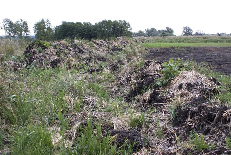 Organic: ifj. Orbán Győző új cége