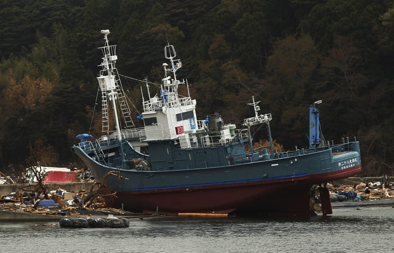 Bálnavadásztra költik a cunamipénzt a japánok