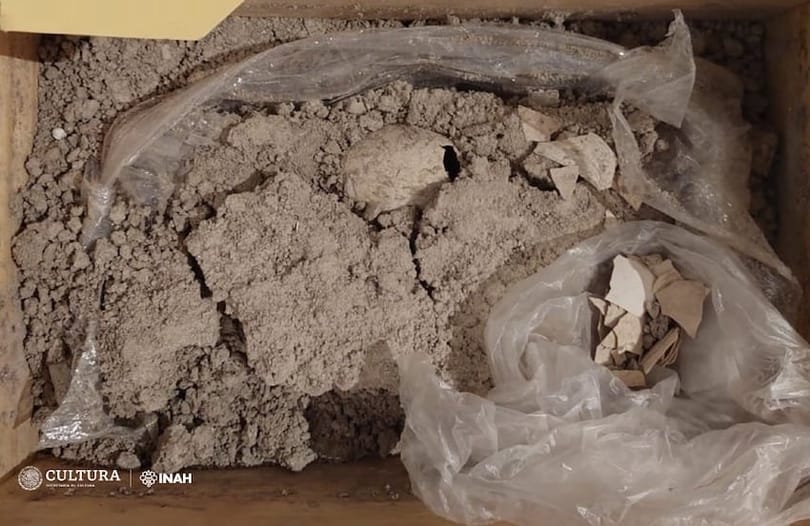 Hihetetlenül ritka, 8-12 000 éves flamingótojás-kövületet találtak Mexikóban