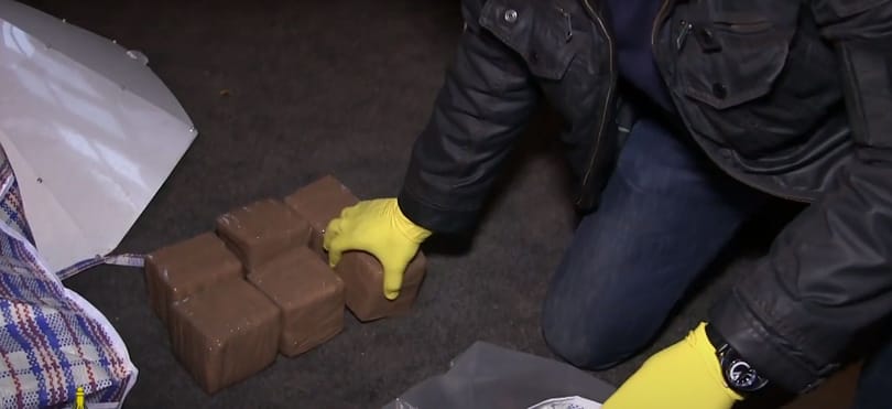141 kiló kábítószert találtak a rendőrök egy solymári házban