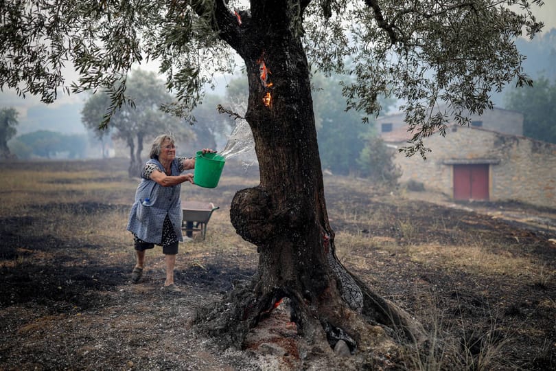 Lángba borultak az erdők a mediterrán országokban – több helyen is evakuálták a lakosságot