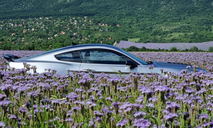 2021 tesztautói a legolcsóbb elektromostól a legőrültebb benzinpusztító izomautóig