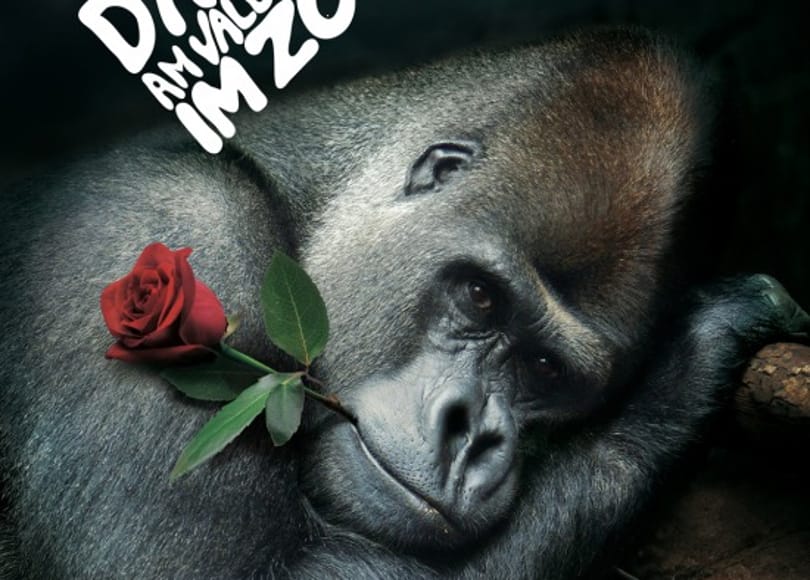 Valentin-napi felnőttprogram a párzó gorillával