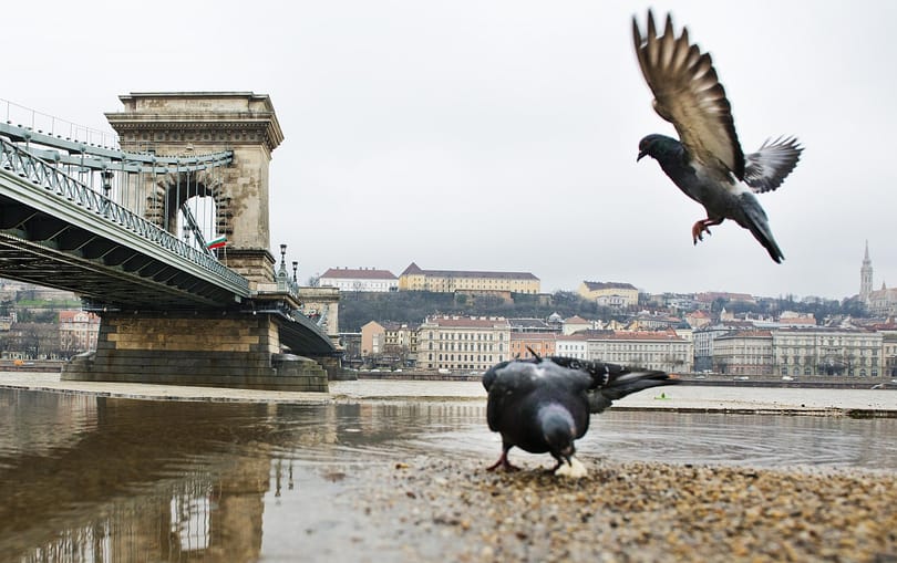 Nem valószínű, hogy elönti az ár a budapesti rakpartokat