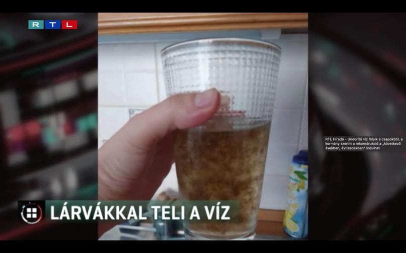 Lárvák és kifejlett kukacok is vannak a rossz minőségű berettyóújfalui ivóvízben