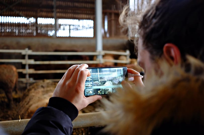 Szédületes tempóban kockáztatják az állami pénzt - kinek jó ez?