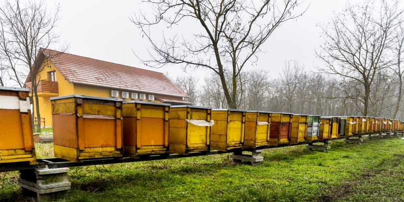 Megint engedik Orbánék egy eddig tiltott ukrán agrártermék behozatalát