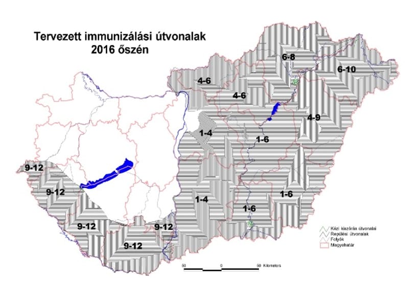 Ne engedje el a kutyáját az ország kétharmadán