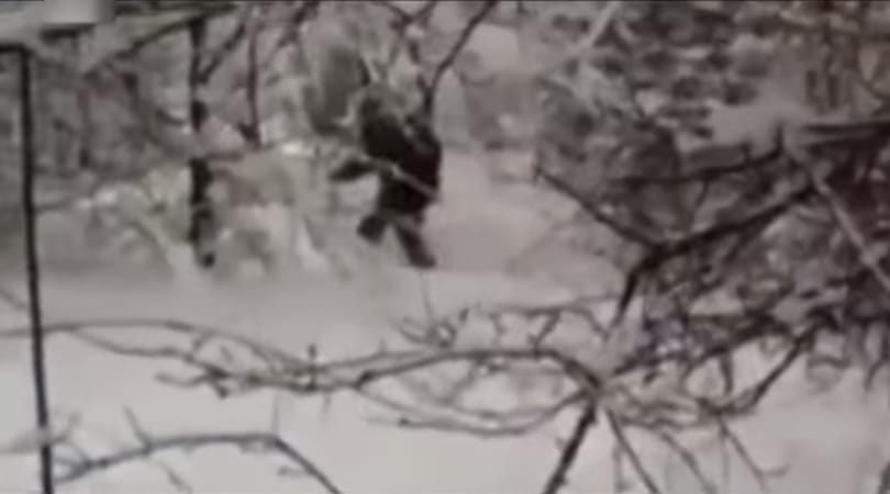 Pánik a síparadicsomban: furcsa foltos állattól rettegnek a síelők