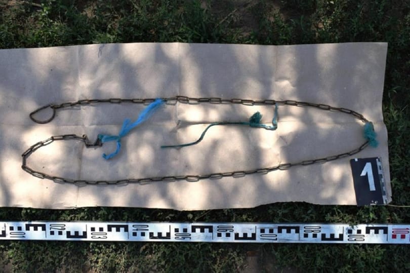 3 hétig sínylődött a nyakába nőtt madzagra kötött Donna kutya, azután kimúlt