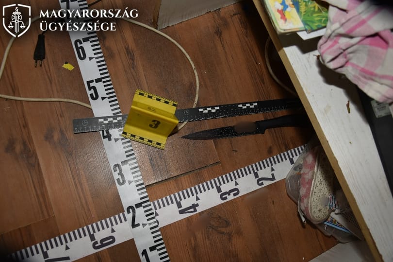 Saját alvó lányát szúra fejen egy nő Bács-Kiskunban, most vádat emeltek ellene