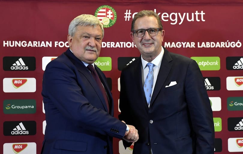 Dárdai Storck és Leekens fizetésének töredékéért dolgozott szövetségi kapitányként