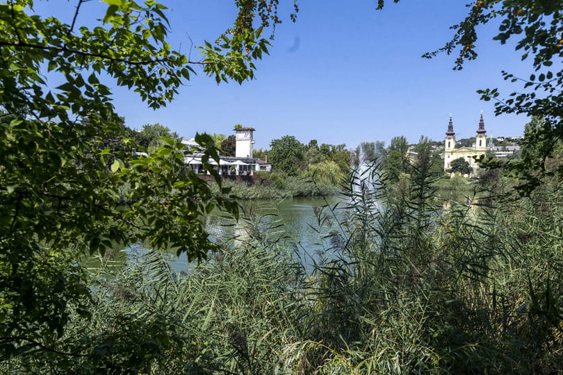 Szentimreváros szíve, egy rég halott borvidék mementója: kerületmustra a Villányi út környékén