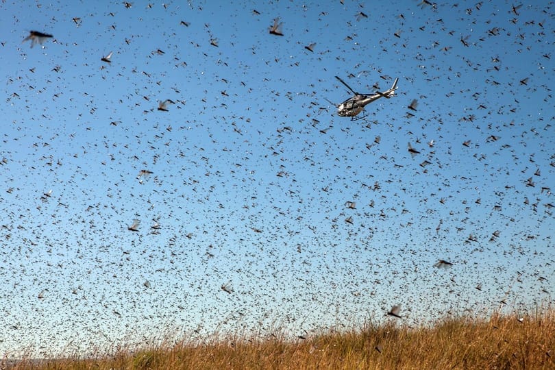 Az első klímaváltozás okozta éhínség pusztít Madagaszkáron